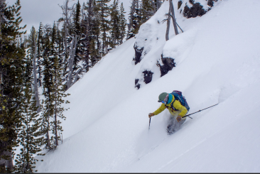Fortune Creek Huts